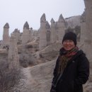 터키벨리 이미지