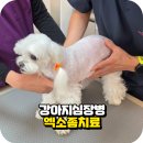 백제동물병원 이미지