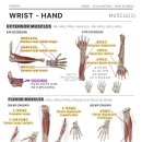 부일한의원 이미지