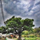 외연도마을회관 이미지