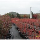 서창농장 이미지