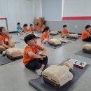 전주팔복초등학교 이미지