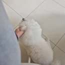 홍대 레이어드컷 잘하는 미용실, 앤오프 솔직후기!