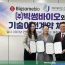빅썸