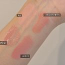 립통디자인 | 올리브영 세일 핑잘웜톤 색조 추천템 립/블러셔 솔직 후기 (ft. 로지킴, 기타 추천템)