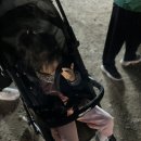 세진여행주 이미지