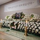 신기수목장 네이버블로그