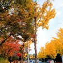 카이스트 후문 이미지