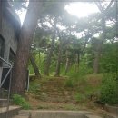 페트라숯불구이 이미지