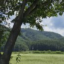 CU 홍천샘골휴게소점 | 가을엔 자연휴양림!! 힐링 강원도 홍천여행 삼봉자연휴양림 크낙새 4인실(+ 근처 정보, 허영만 백반기행...