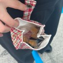 서정주공3 | 벌써 개강?