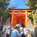 짐엑스 신사시장점 | 후시미 이나리 신사 가는 길 입장료 시간 교토 가볼 만한 곳