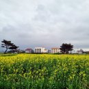 사랑길펜션 이미지