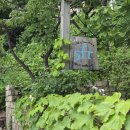 강릉 소품샵 추천｜5FR 오프랑·안목 in 윤슬 소품샵 내돈내산 후기