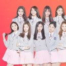 픽미픽미 이미지