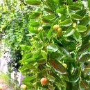 인화동-30 이미지