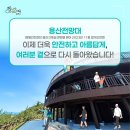 순천만 그리고 나 이미지