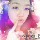 비에치씨 Daum카페