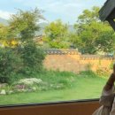 여명민박 이미지