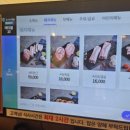 상일축산 네이버블로그