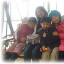 민들레울 이미지