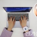 엘루체