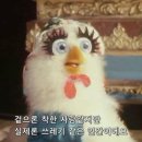 과일마켓 - 강서구 방화동로16길 32 | 과일마켓