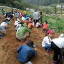 장성마을농장 이미지