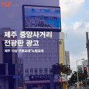 엔앤피미디어