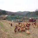 농부부이야기