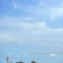 푸푸커피(FUFU COFFE | 칭다오 자유여행; 관광지 추천 은어항 mz 핫플 벽화거리, 푸푸랜드 디저트, 잔교