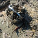 고대도6 이미지