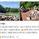 비자림라파 이미지