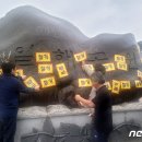 고향찬반 이미지