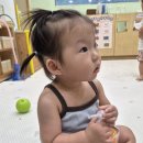 🛁7월 3주 기쁨반 놀이사진&amp;조물락조물락 오감놀이 '수박'🍉 이미지