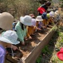 나무와새어린이집 이미지