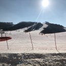 용인대 꿈누리 태권도 이미지