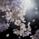 김*섭 이미지