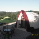 담양 반딧불 이미지