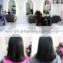 안산유통상가 2동 | 안산 사동 미용실 블루블랙헤어 푸르지오 6차점 염색 후기, 냄새 걱정 없이 블랙 컬러로 단정하게!