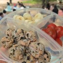 한국체대 봄 태권도장 이미지