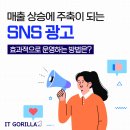 아이티고릴라 - 17756 | 아이티고릴라