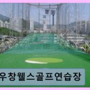 우창웰스