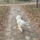 하이 동물병원 이미지