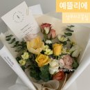 예뜰리에 이미지