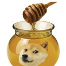 옥토퍼스 이미지