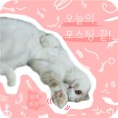 참좋은김밥천국 이곡점 이미지