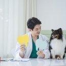 일리동물의료센터 이미지