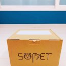 쏘펫 | 쏘펫 강아지 스마트 정수기 다견가정 사용후기