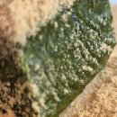 터미널방앗간 이미지